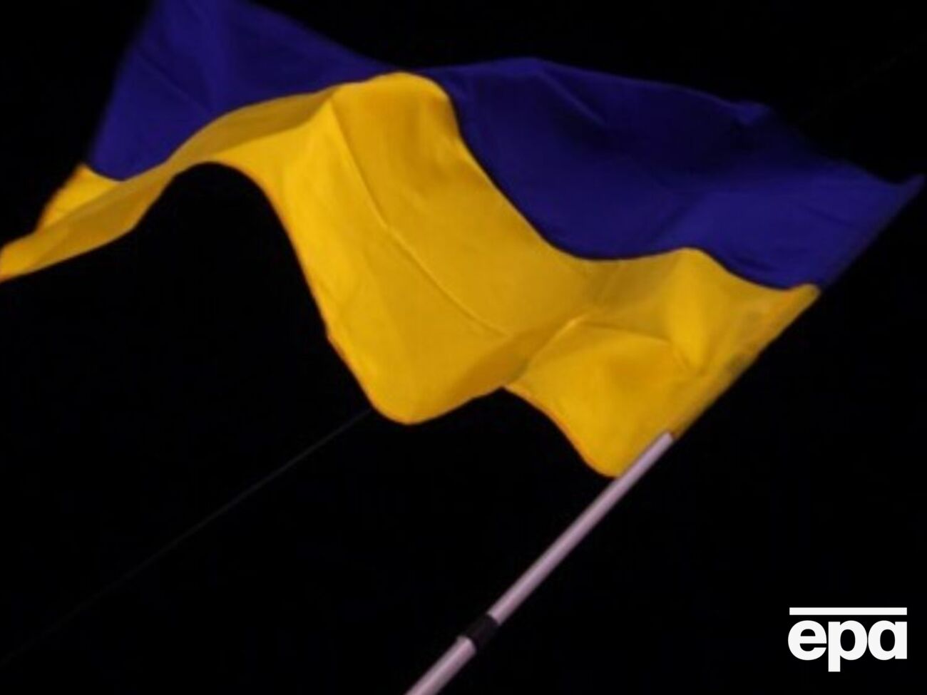 В Эстонии порвали и сожгли флаг Украины. Что говорят правоохранители