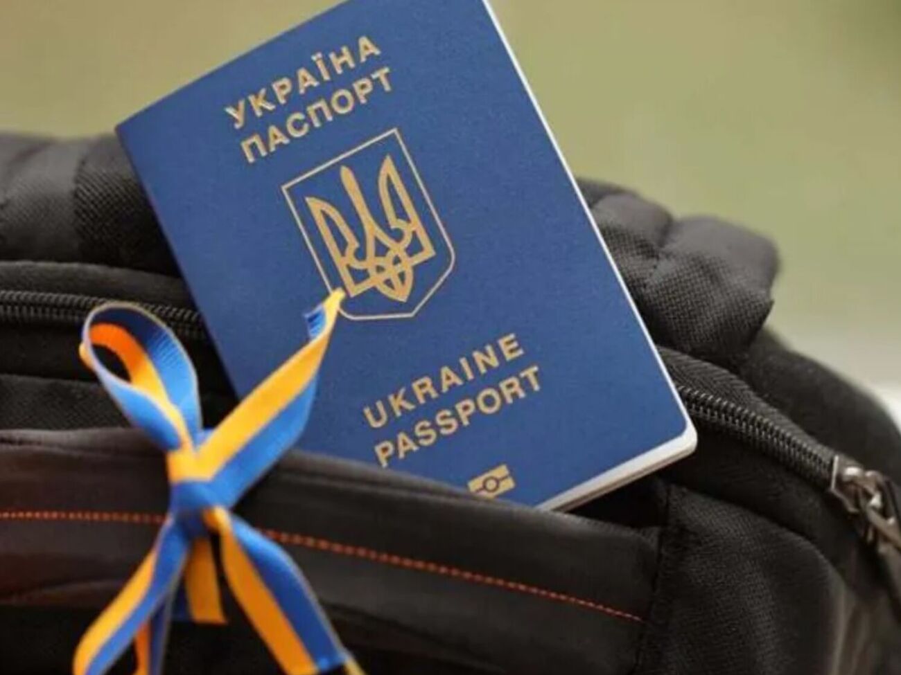 Одна из европейских стран может прекратить предоставлять статус беженца украинцам призывного возраста