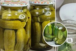 "Эти огурцы исчезают со стола первыми". Рецепт маринада