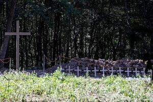"Важка новина". У Польщі оголосили результати пошуків другої могили поляків, убитих УПА у Пужниках