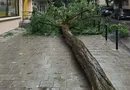 "Трошки моторошно". У Львові страшна негода, падають світлофори, злітають дахи