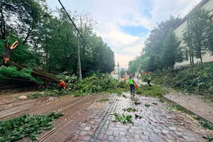 Во Львове молния поразила шестилетнего ребенка