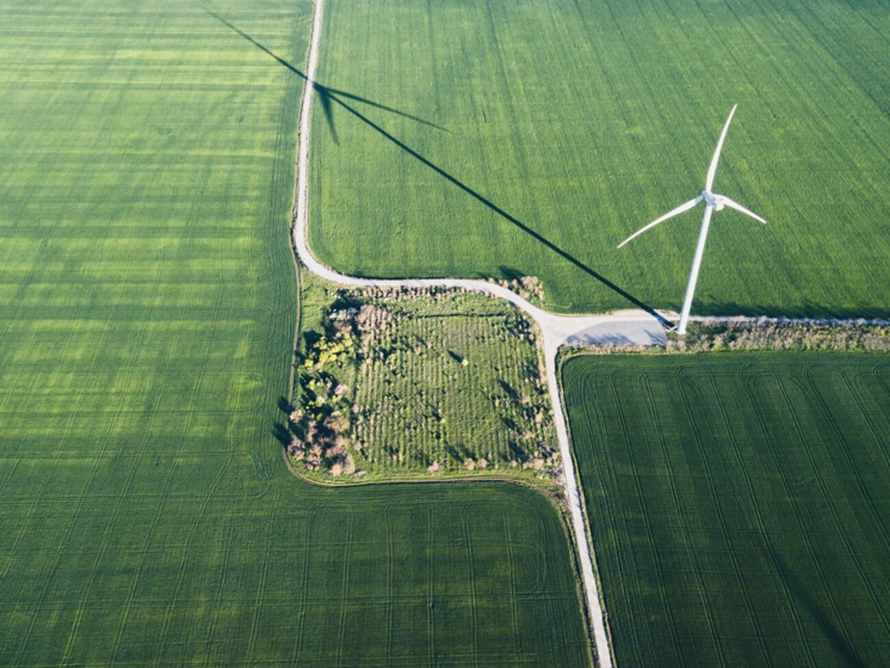 Україна замінює великі електростанції розподіленою генерацією – гендиректор ДТЕК
