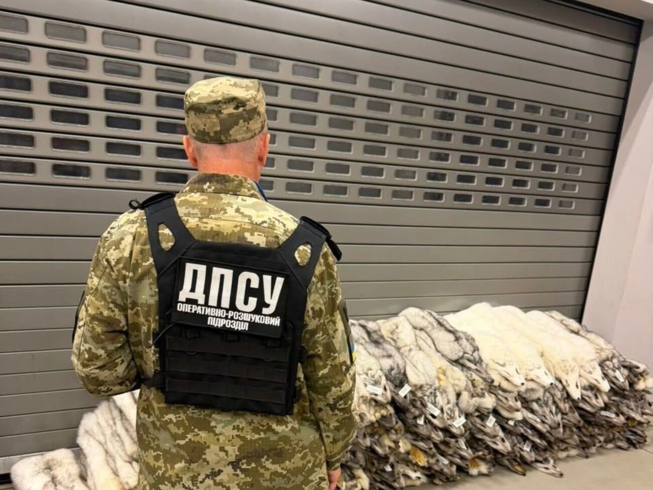 Це песець. У пасажирському автобусі виявили контрабанду на 400 тис. Як це пояснив водій