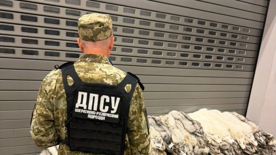 Це песець. У пасажирському автобусі виявили контрабанду на 400 тис. Як це пояснив водій
