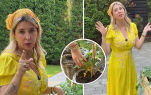 "Господь покарає вас". Жінка Дмитра Кулеби показала, що врятує їх від ядерки