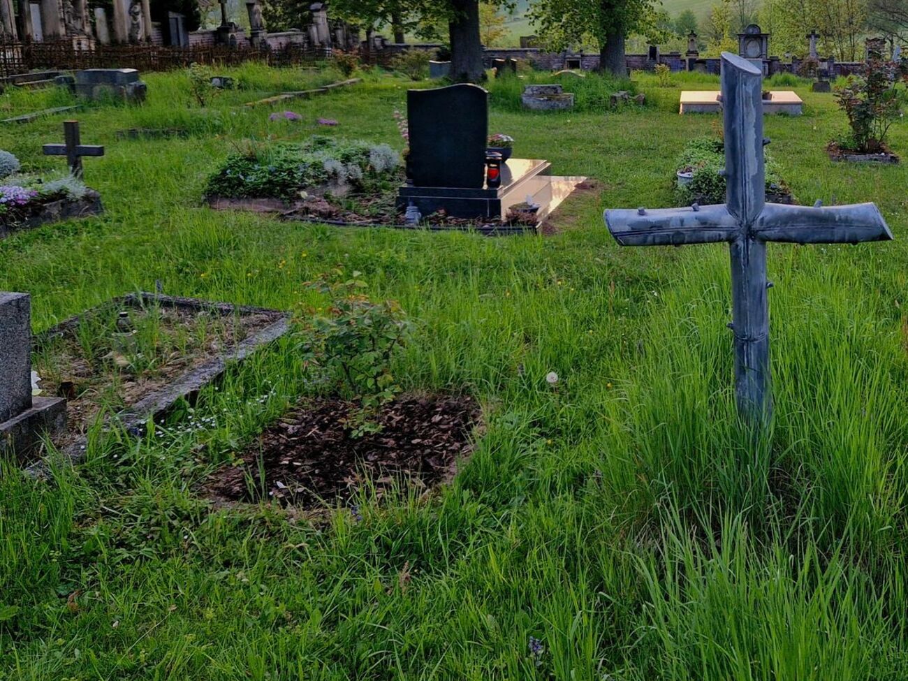 В РФ ритуальная служба закопала живого человека в могилу. Видео