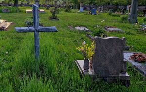 В РФ ритуальная служба закопала живого человека в могилу. Видео