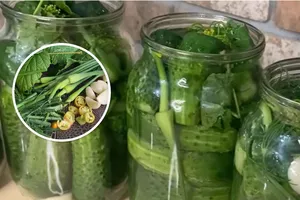 Хрустящие маринованные огурцы на зиму без уксуса и аспирина. Рецепт консервирования, при котором огурцы не "взрываются"