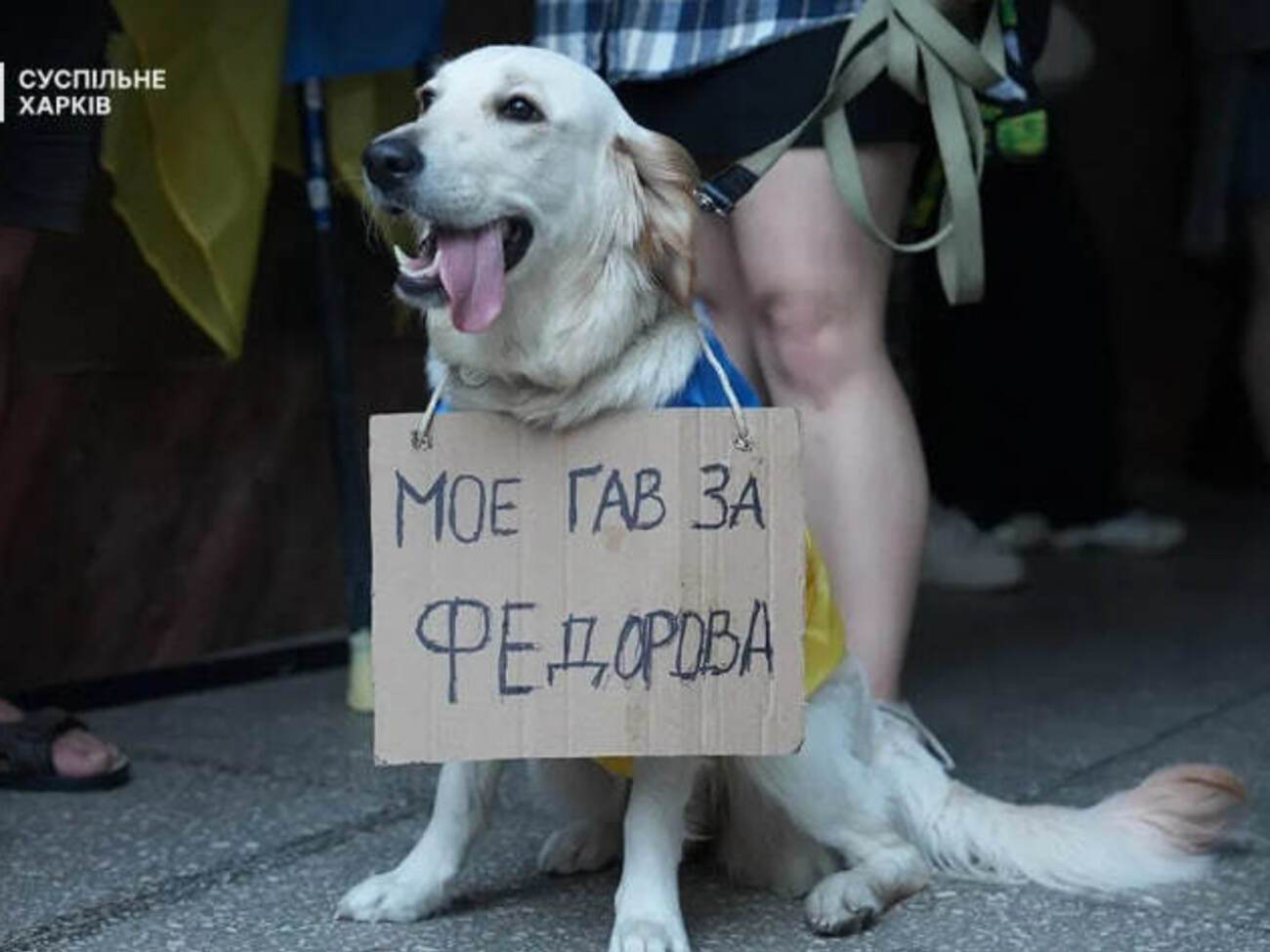 Звільнення Федорова. Протести докотилися до Німеччини – що там пишуть на картонках. Фото