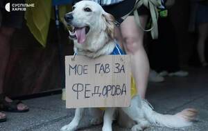 Увольнение Федорова. Протесты докатились до Германии – что там пишут на картонках. Фото