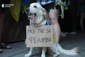 Звільнення Федорова. Протести докотилися до Німеччини – що там пишуть на картонках. Фото