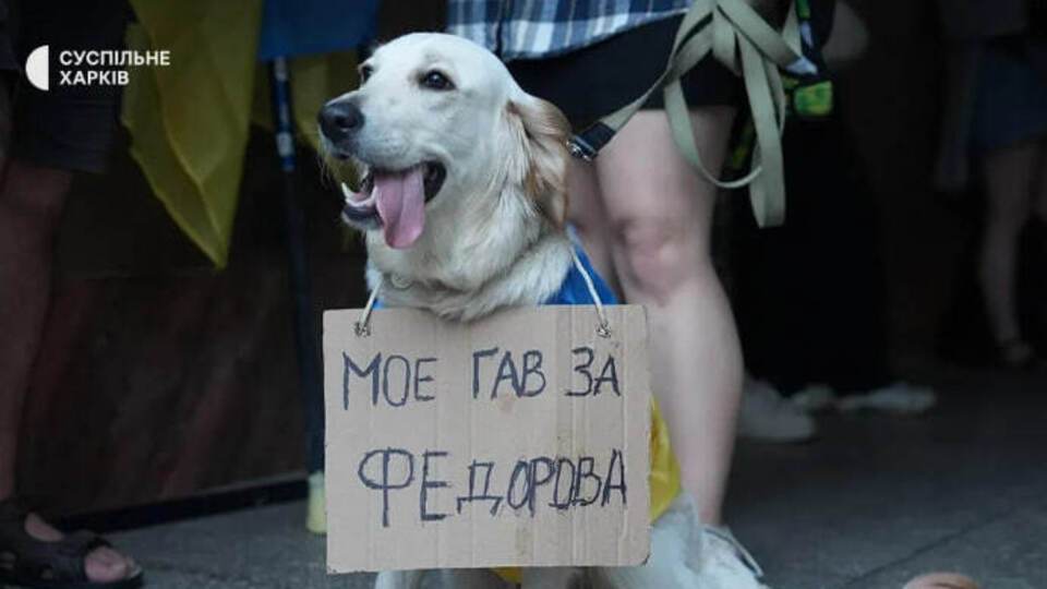 Звільнення Федорова. Протести докотилися до Німеччини – що там пишуть на картонках. Фото