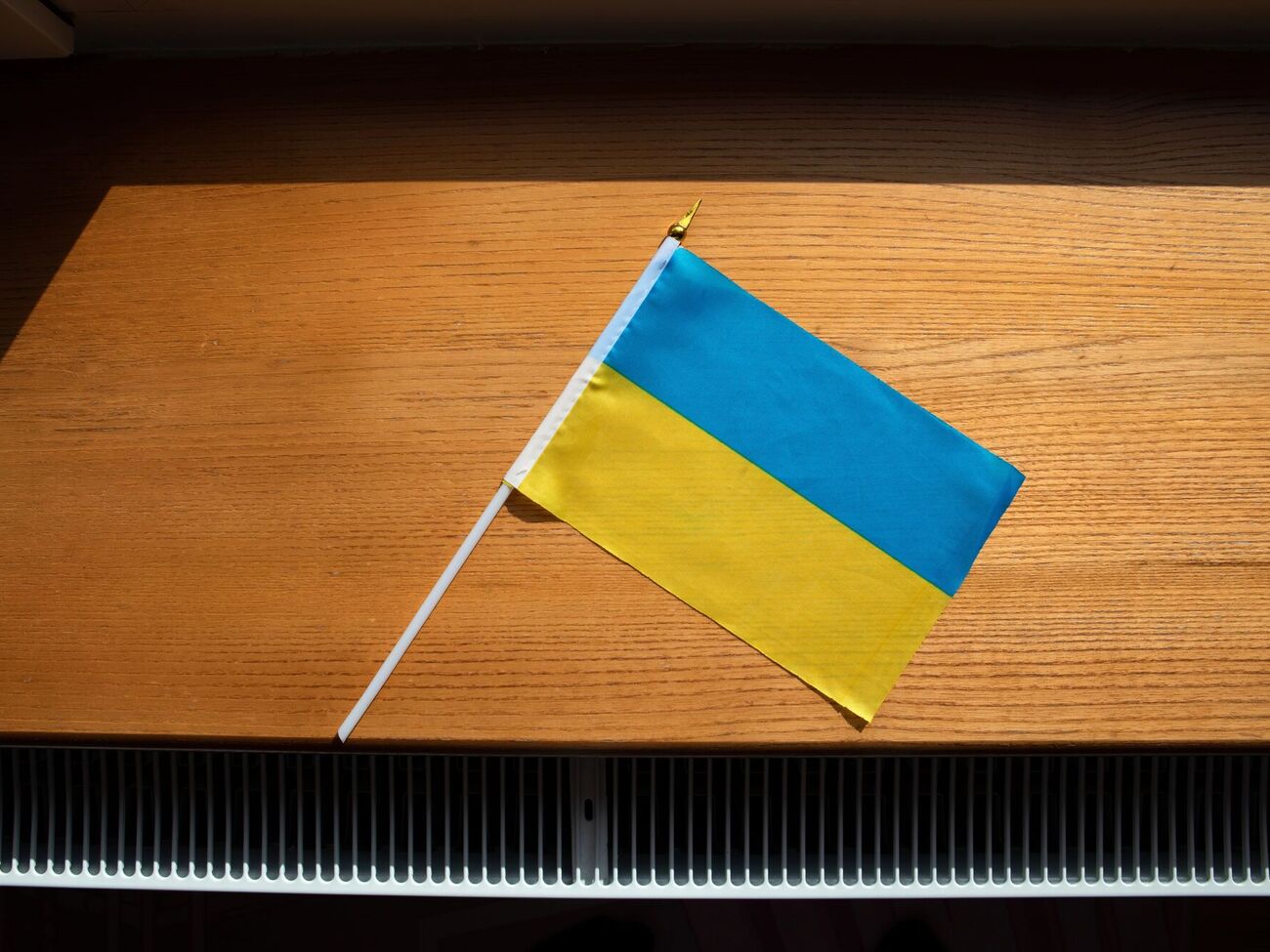 Штраф на тисячі гривень. У Києві вчителька увімкнула учням російськомовний мультик, оскільки ті "не були проти"