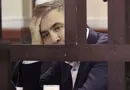 "Их усатые грузины ждут давным-давно... Едут беленькие сучки к черным кобелям"