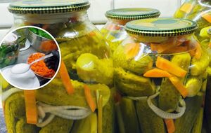 Мариновані огірки завдяки цій хитрості залишаються хрумкими всю зиму. Перевірений рецепт консервації