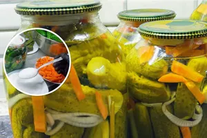 Мариновані огірки завдяки цій хитрості залишаються хрумкими всю зиму. Перевірений рецепт консервації