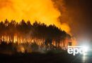 У Франції під час евакуації через масштабні пожежі викрали десятки пляшок вишуканих вин. Що відомо
