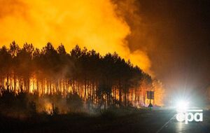 У Франції під час евакуації через масштабні пожежі викрали десятки пляшок вишуканих вин. Що відомо