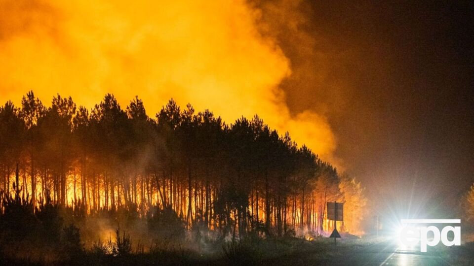 Во Франции во время эвакуации из-за масштабных пожаров похитили десятки бутылок изысканных вин. Что известно