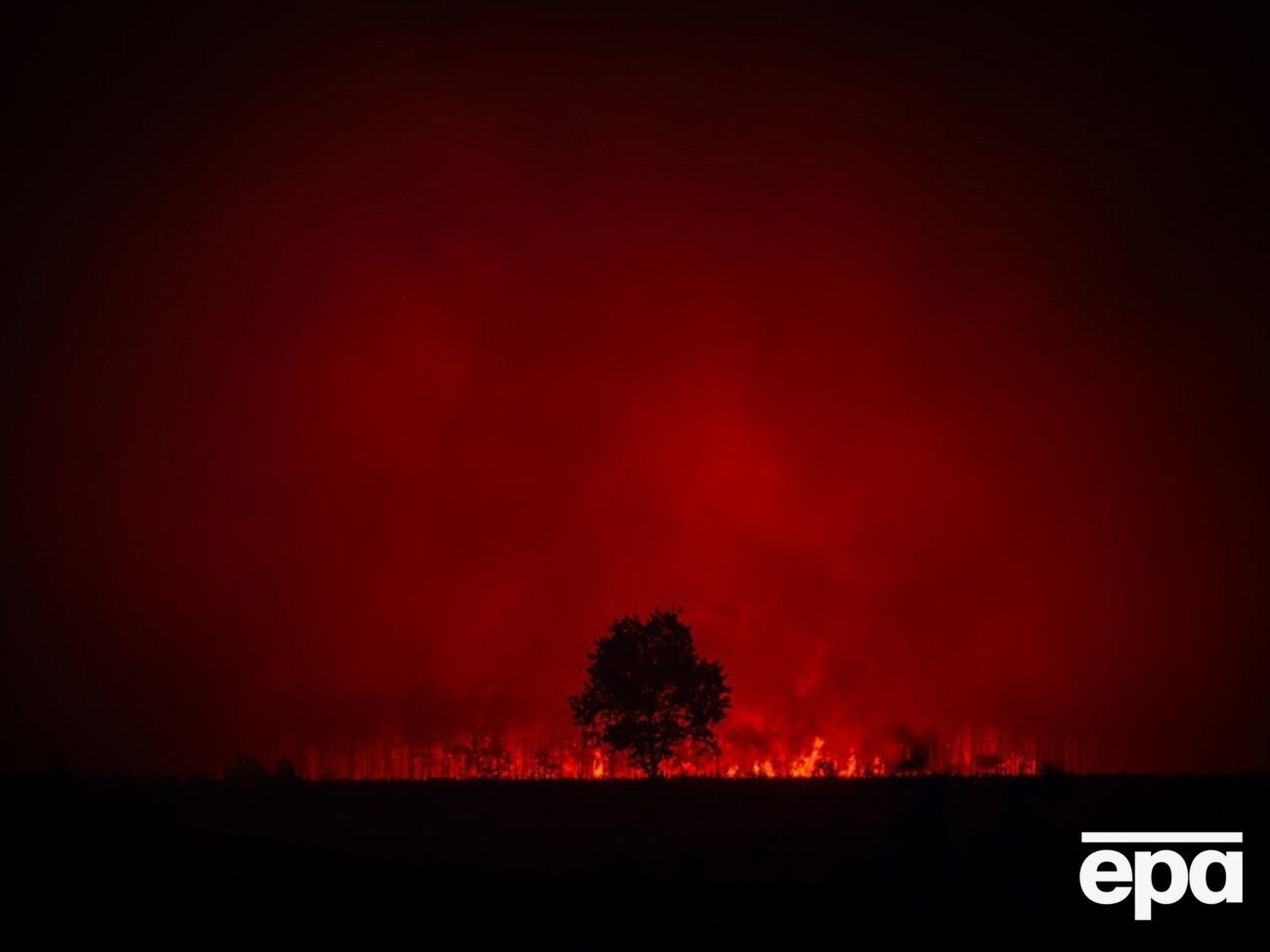 Во Франции бушуют масштабные лесные пожары. Фотографии