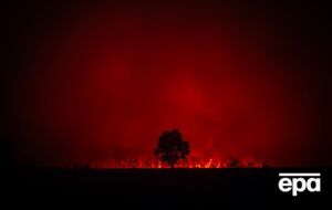 У Франції вирують масштабні лісові пожежі. Фотографії