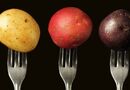 Белый, желтый, красный – какой картофель выбрать для варки, запекания и жарки?