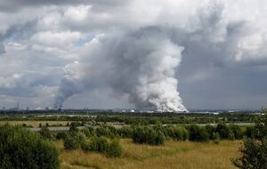 Мадяр підтвердив нічні атаки на Wildberries: "Посылка не придет", ні з дроном, ні з вібратором