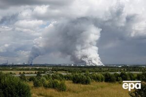 Мадяр підтвердив нічні атаки на Wildberries: "Посылка не придет", ні з дроном, ні з вібратором