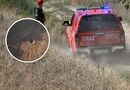 "УПАла", "Нікому не скажемо". У мережі обговорюють реакцію "стурбованих" поляків на приліт ракети із РФ