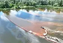 Погибли рыбы, птицы, лягушки, насекомые. В Киеве после атаки РФ в озеро попали сотни тонн нефтепродуктов. Фото