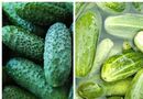 Как убрать горький привкус огурцов и можно ли их консервировать