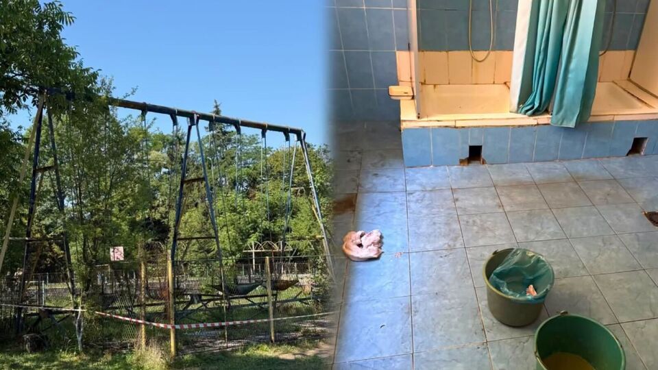 Мухи в харчоблоці, зношена постіль і неналежне укриття. Що ще виявив моніторинг омбудсмена в "Артеку"