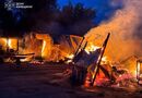 В приюте для бездомных животных под Киевом произошел пожар, погибли собаки. Что известно