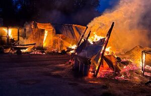 В приюте для бездомных животных под Киевом произошел пожар, погибли собаки. Что известно