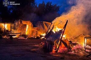 У притулку для бездомних тварин під Києвом сталася пожежа, загинули собаки. Що відомо