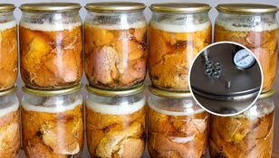 Домашняя тушенка в автоклаве. Сколько специй добавить, чтобы мясо получилось вкусным