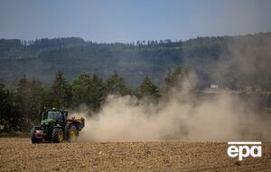 У Чехії очікують найгірший за понад десятиліття урожай зернових через посуху. Під загрозою – худоба