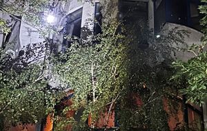 Одессу атаковали дроны, один из них влетел в многоквартирный дом. Фото