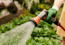 Не уничтожайте свой огород собственными руками. Семь самых распространенных ошибок в жару