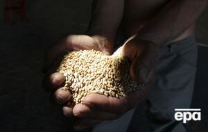 Экспорт украинского зерна из-за российских ударов упал на 75%