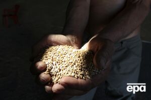 Експорт українського зерна через російські удари впав на 75%