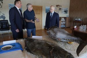 Путин впервые приехал на Курилы. Как на это отреагировала Япония