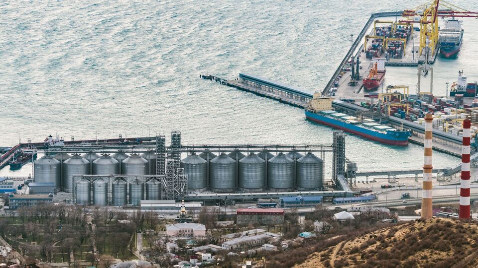 Третий крупный зерновой терминал Новороссийска остановился после ударов ВСУ