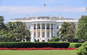 США разослали союзникам по НАТО анкеты для проверки лояльности к Белому дому – Bloomberg