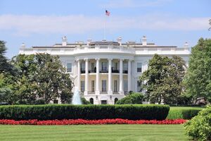 США разослали союзникам по НАТО анкеты для проверки лояльности к Белому дому – Bloomberg