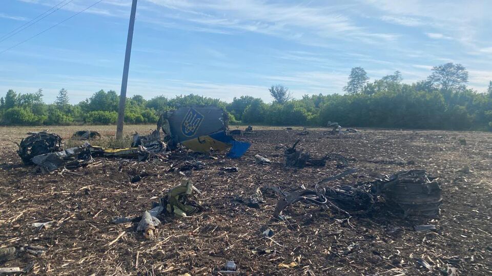 Су-24М у Хмельницькій області міг упасти через птаха. ДБР розшифрувало чорну скриньку