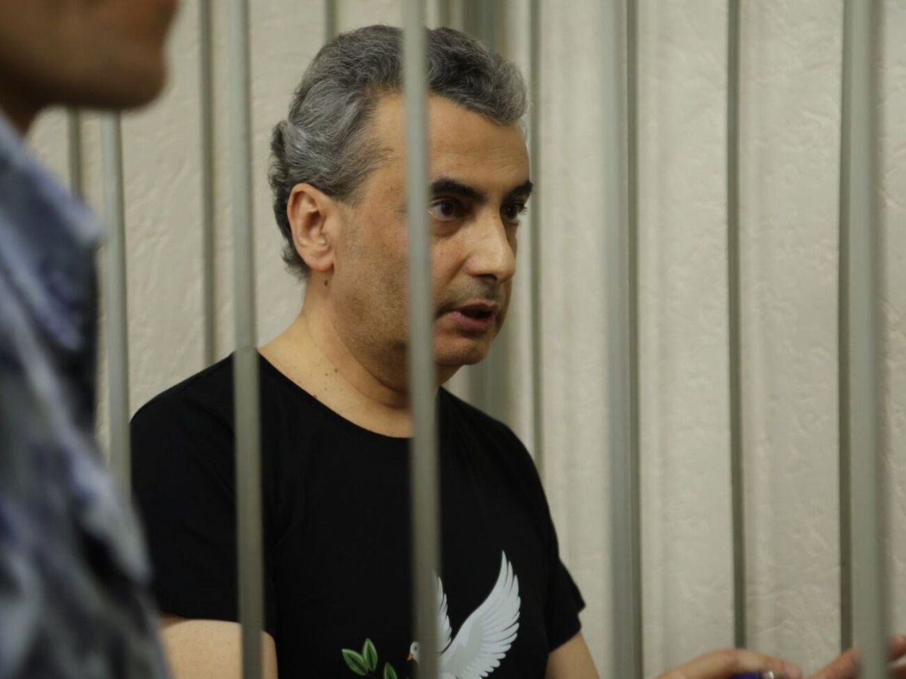 Зампреда "Яблока" в РФ приговорили к 11 годам и месяцу колонии за репост и дебаты о войне