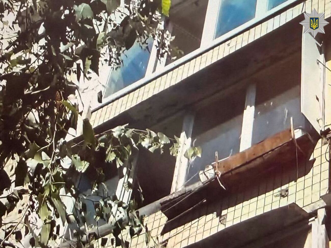 У Києві собаку викинули з балкона четвертого поверху. Поліція затримала підозрювану. Відео