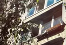 В Киеве собаку выбросили с балкона четвертого этажа. Полиция задержала подозреваемую. Видео